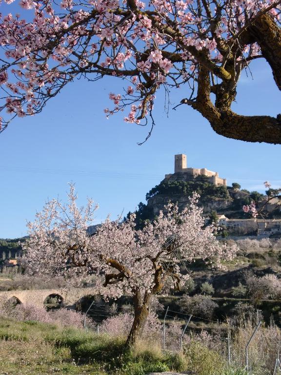 Hotel Rural Mas Fontanelles بيار المظهر الخارجي الصورة