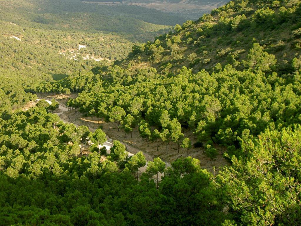 Hotel Rural Mas Fontanelles بيار المظهر الخارجي الصورة